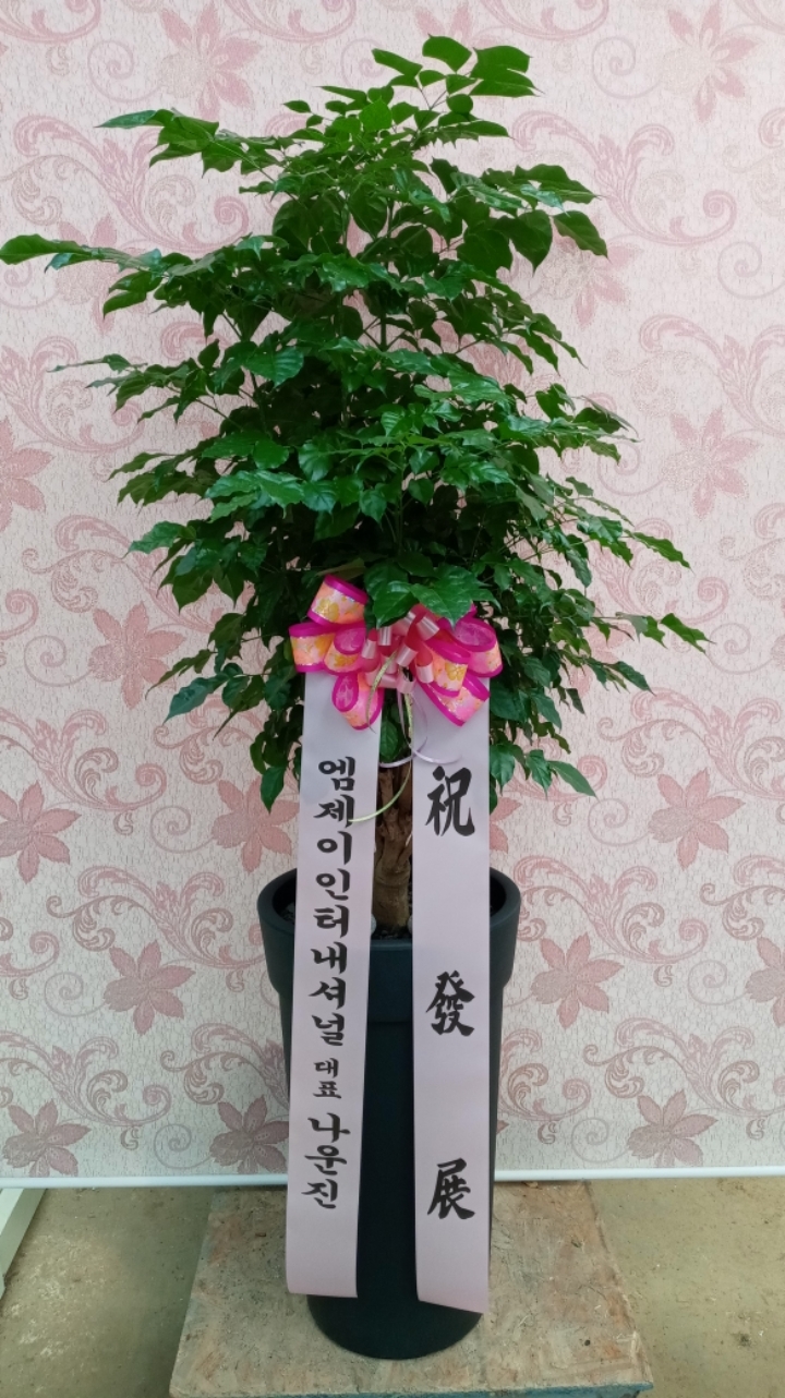 미사그린인테리어 이미지