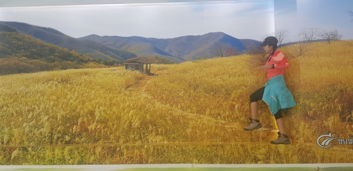 영숙상회 이미지