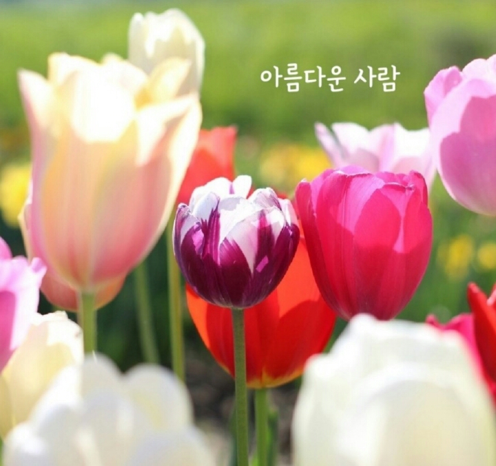행복한아침 이미지