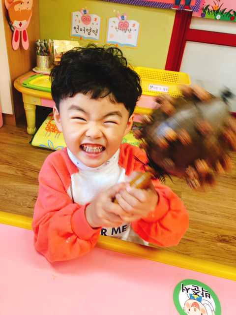 코코넛뮤직 이미지