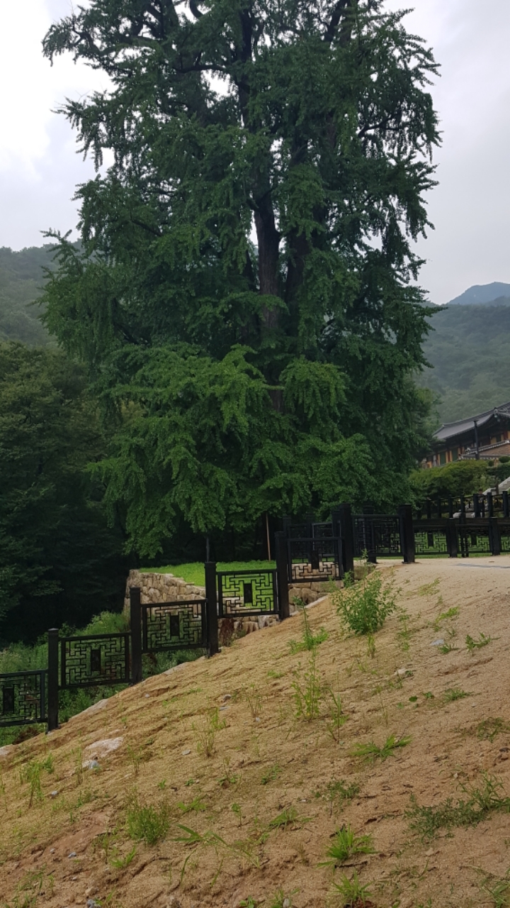 갤러리문우 이미지