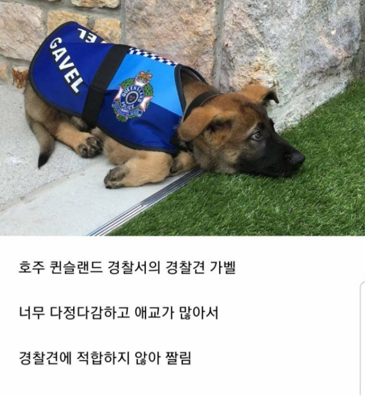 조은날 이미지