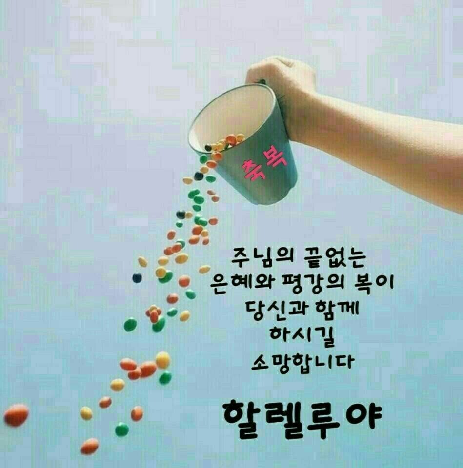 예라 이미지