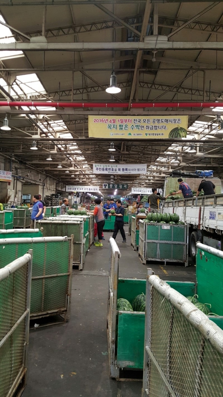 대구청과 이미지