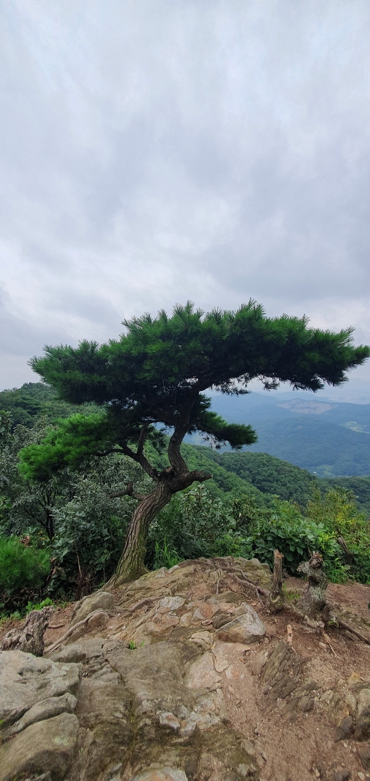위례산 이미지