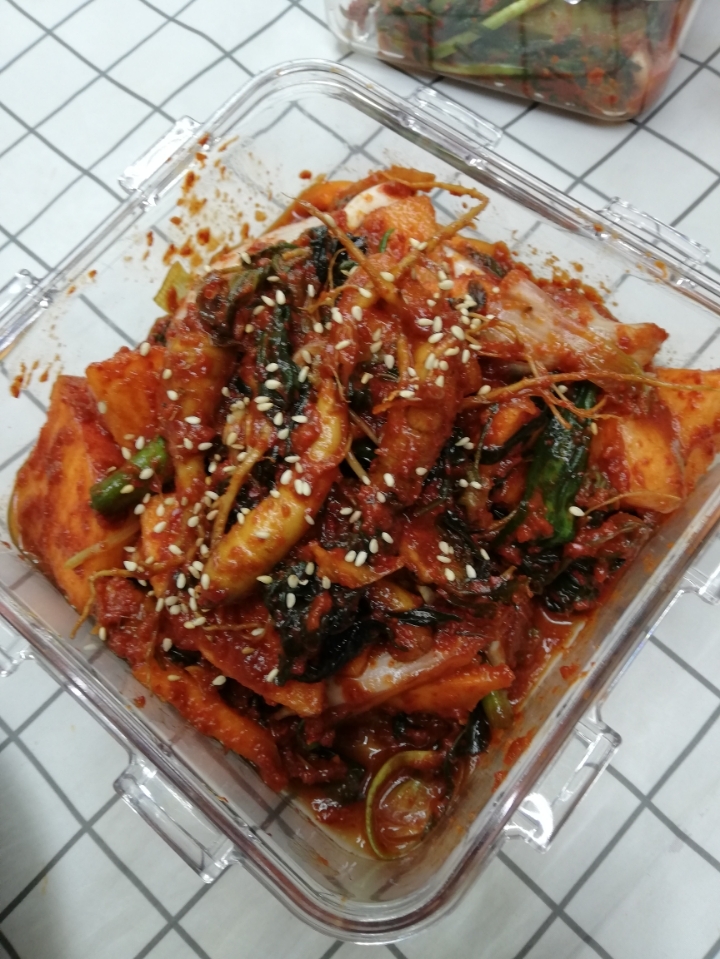 꼬들 이미지