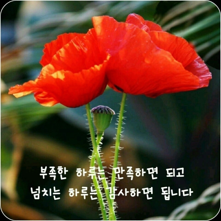 장일남컬렉션 이미지