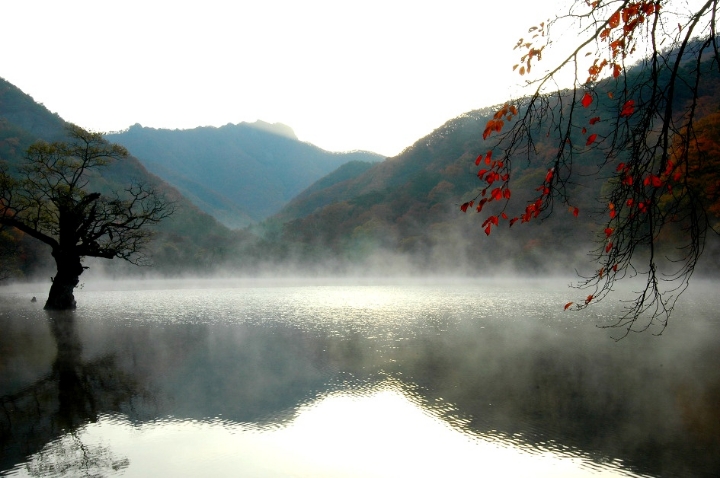 산과바다 이미지