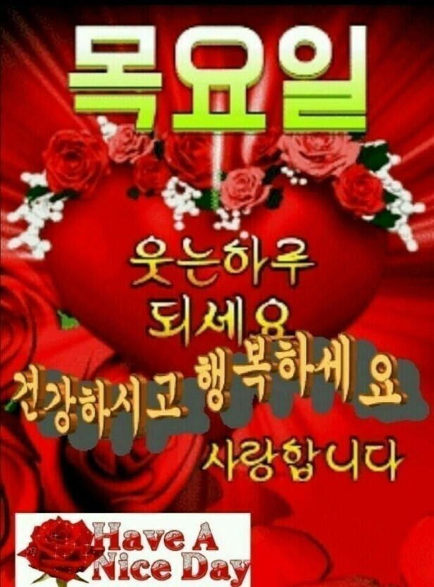 네일이유 이미지