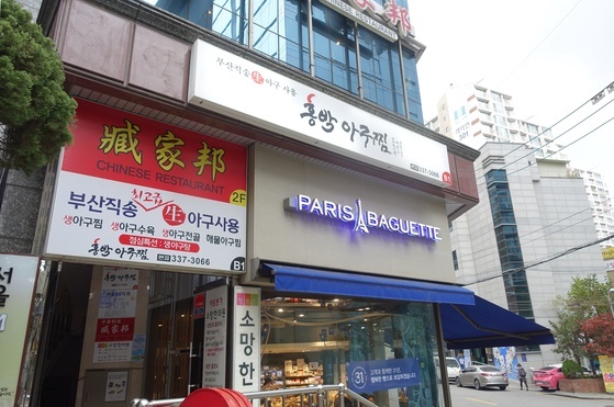 홍박 이미지