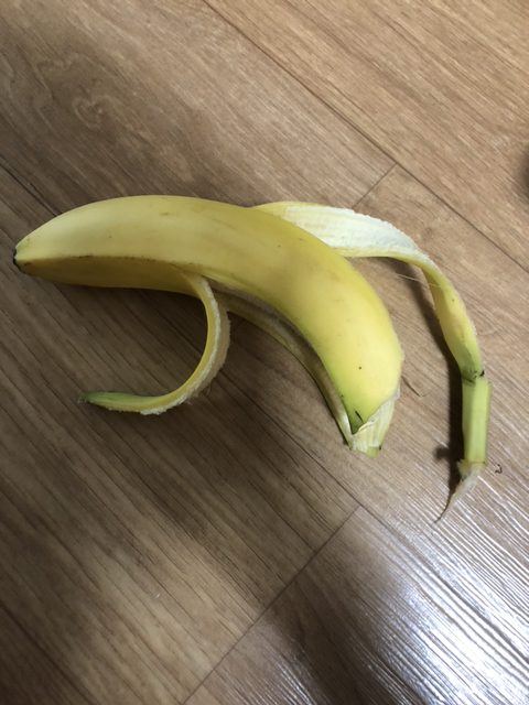 장어패밀리 이미지