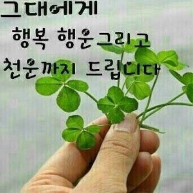 장일남컬렉션 이미지