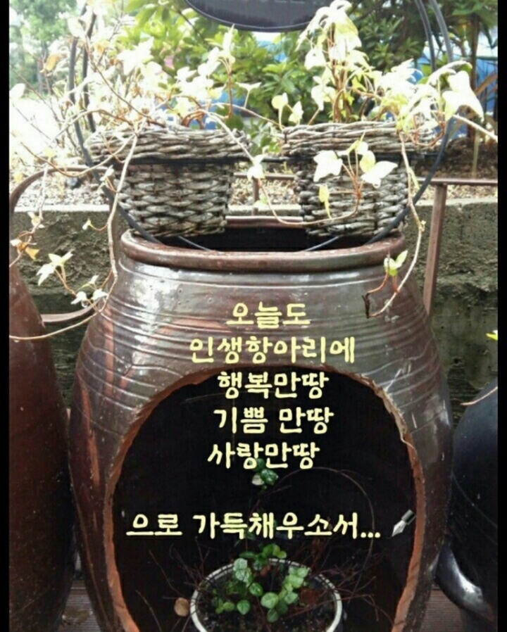 김성기 이미지
