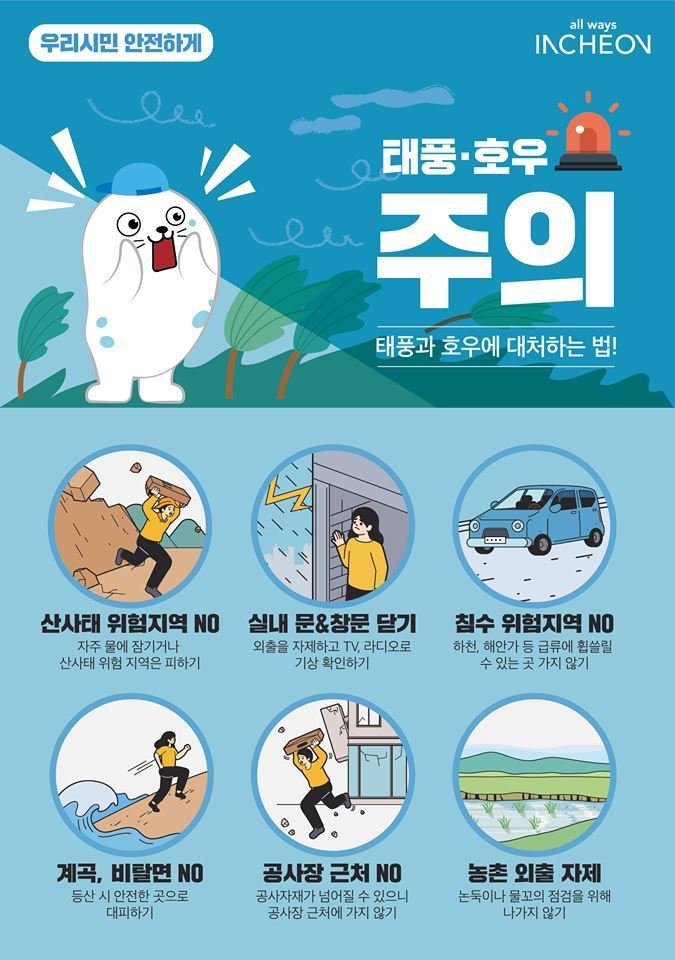 비피 이미지