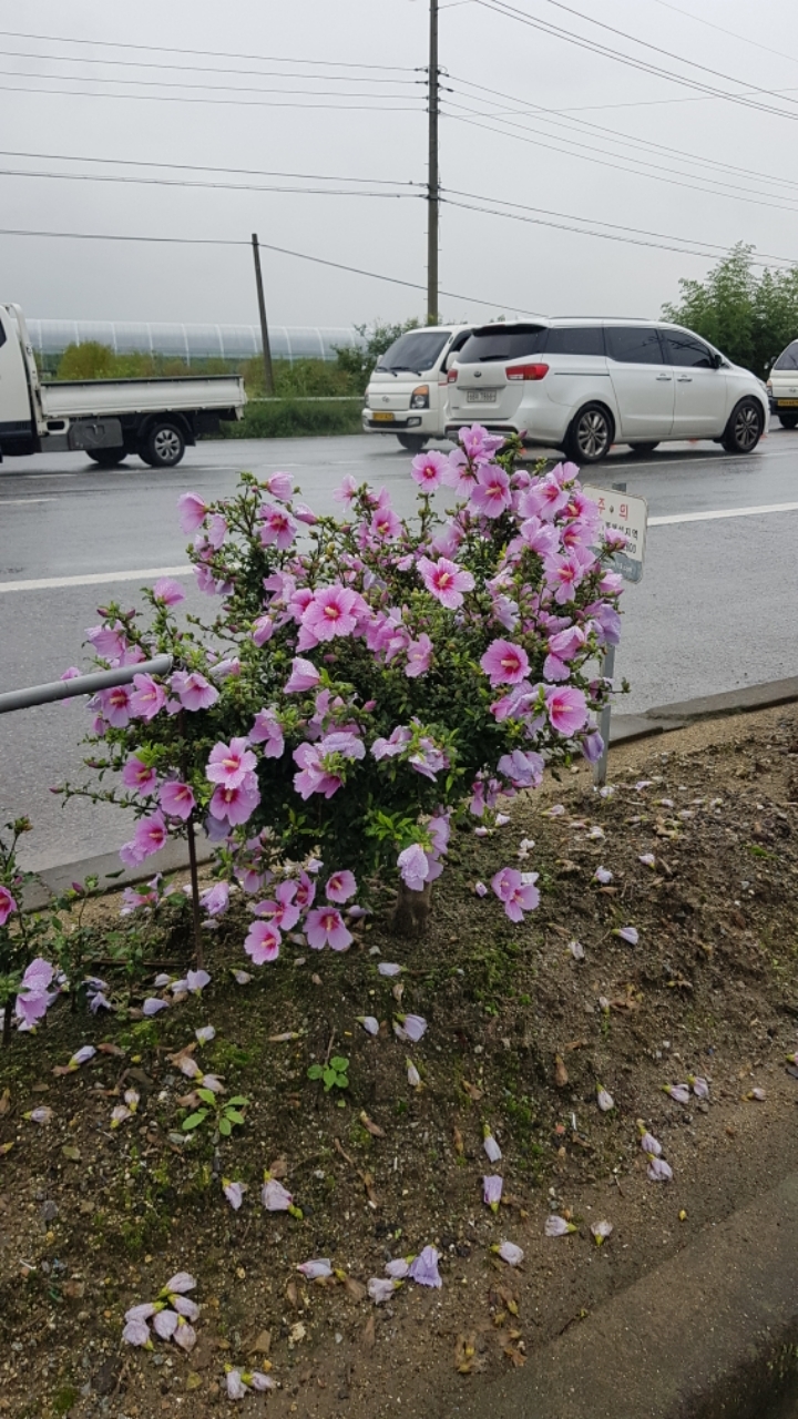 개화주유소 이미지