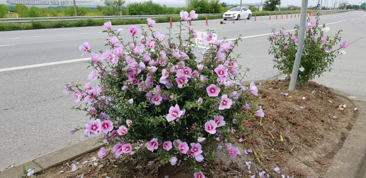 삼일주유소 이미지