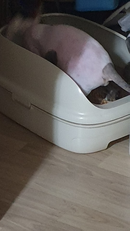 설미용실 이미지