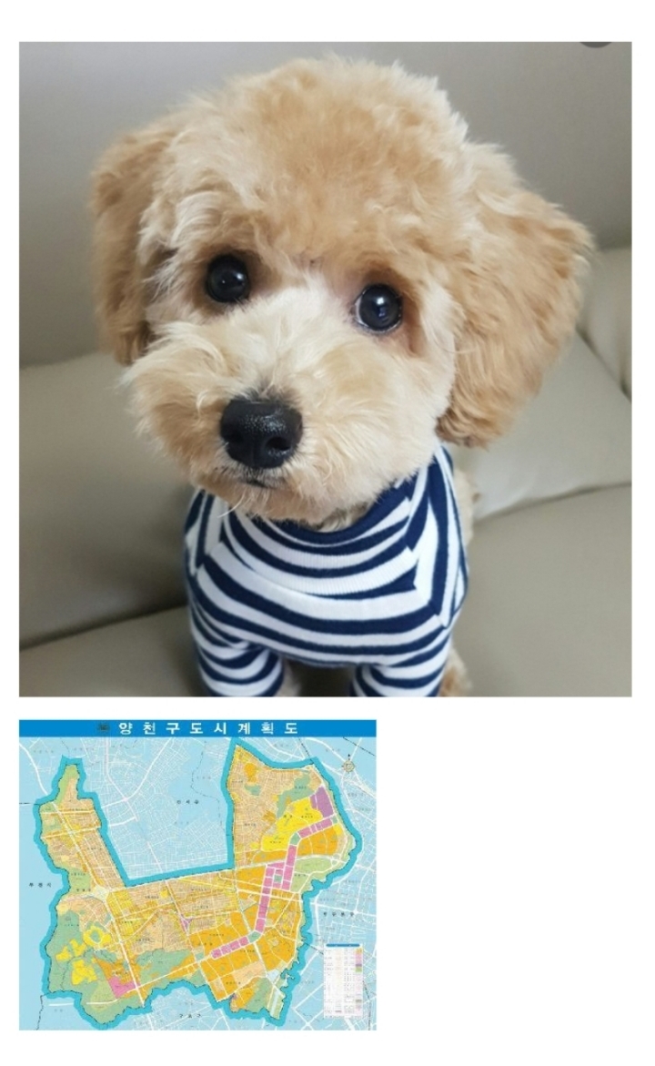 아이참 이미지