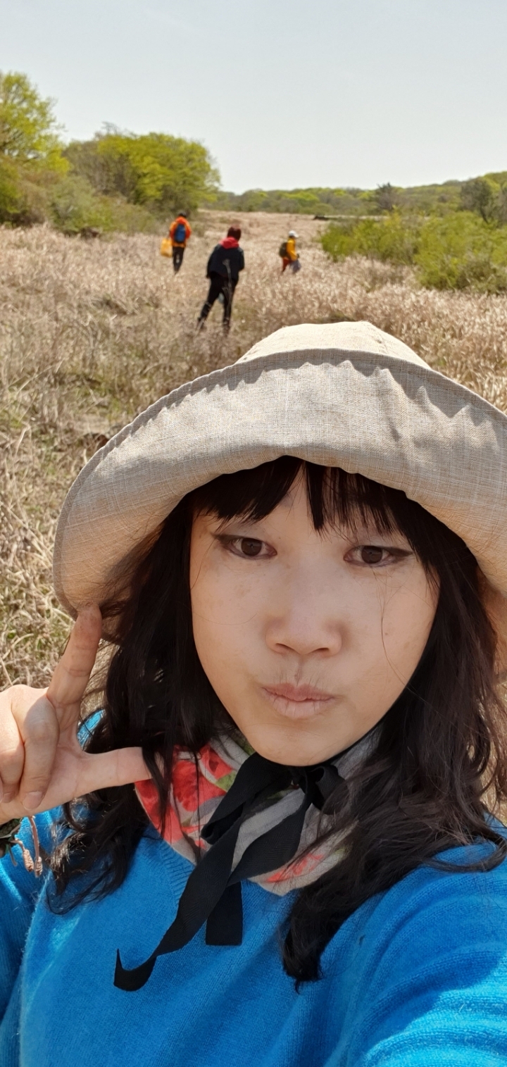 퐁낭 이미지