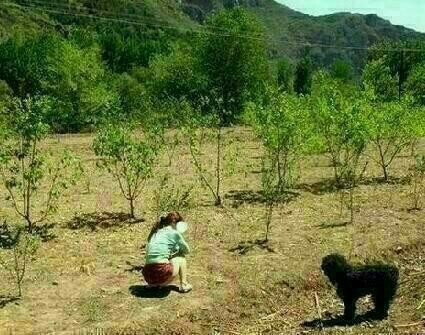 드로니 이미지