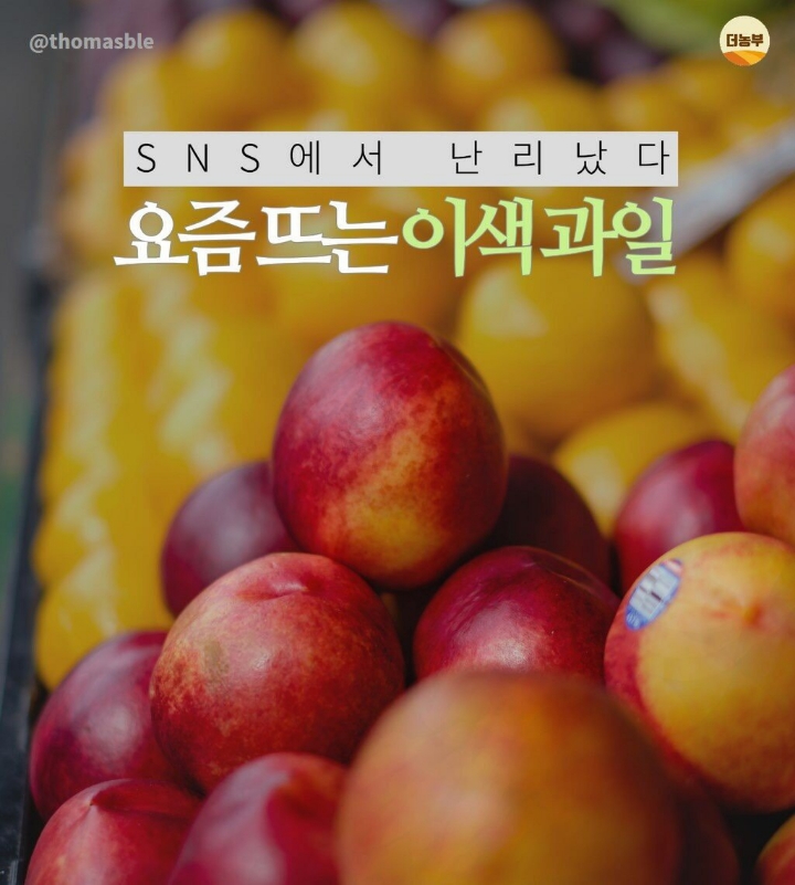 요즘과일 이미지