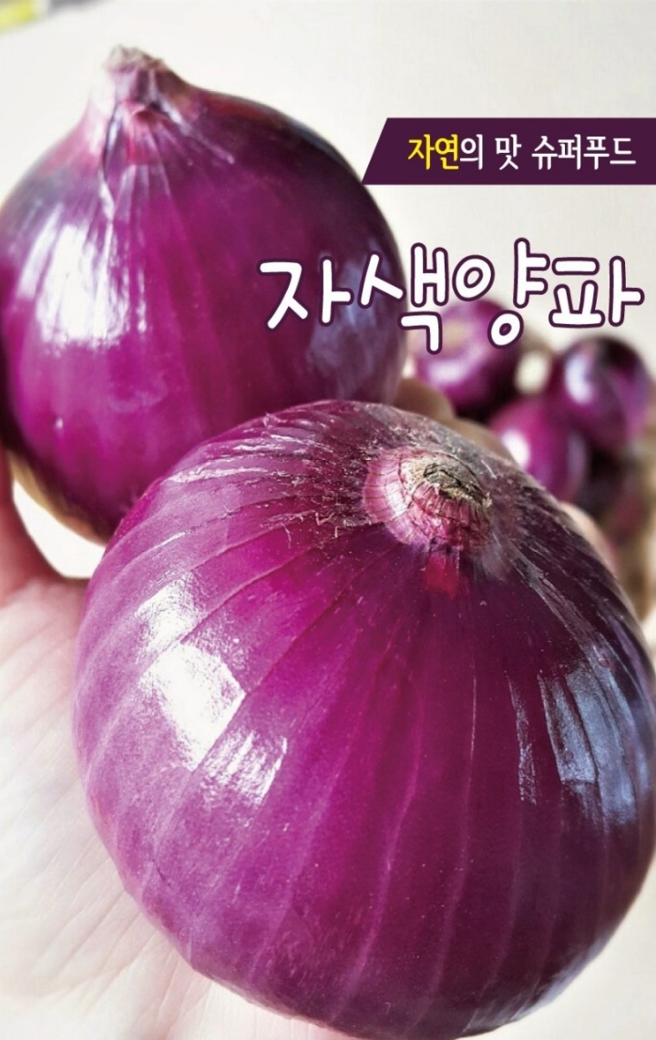 식약동원 이미지