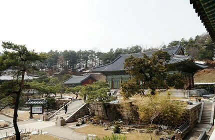 부산메리야스 이미지