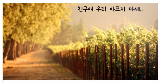 친구야술한잔하세 이미지