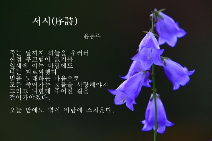 한수 이미지