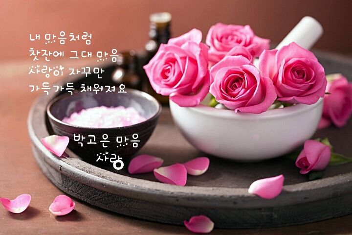꽃꿈 이미지