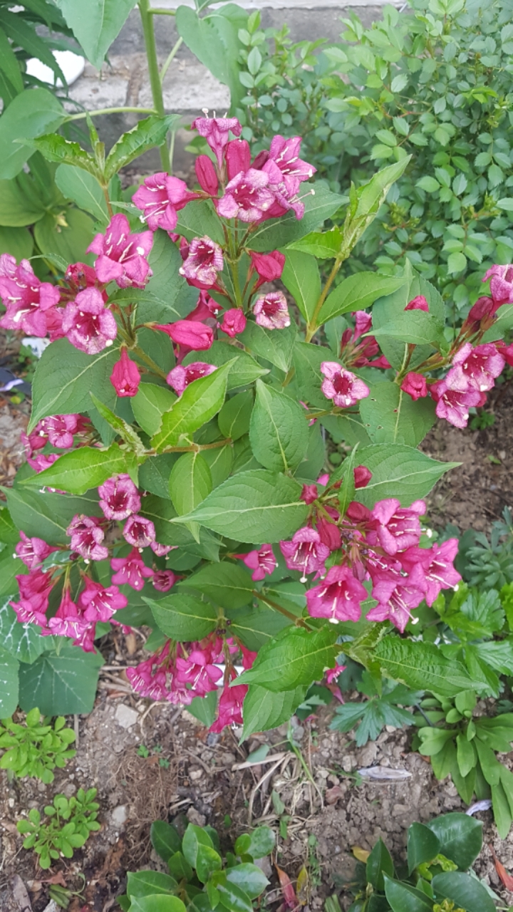 산삼골 이미지