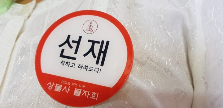 펫지 이미지