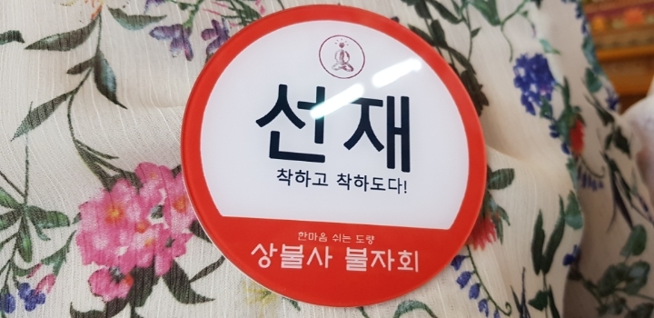 펫지 이미지
