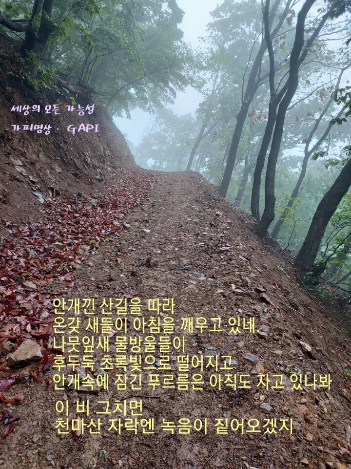 초록빛 이미지