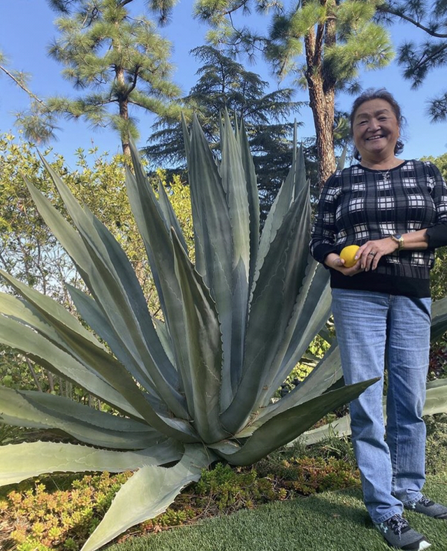 7cce9bd892029b1a4fcfacba59948e30f9dc2a61