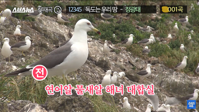 30여년만에 바뀐독도는 우리땅가사.jpg | 인스티즈