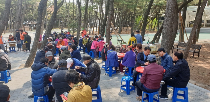 솔국수 이미지