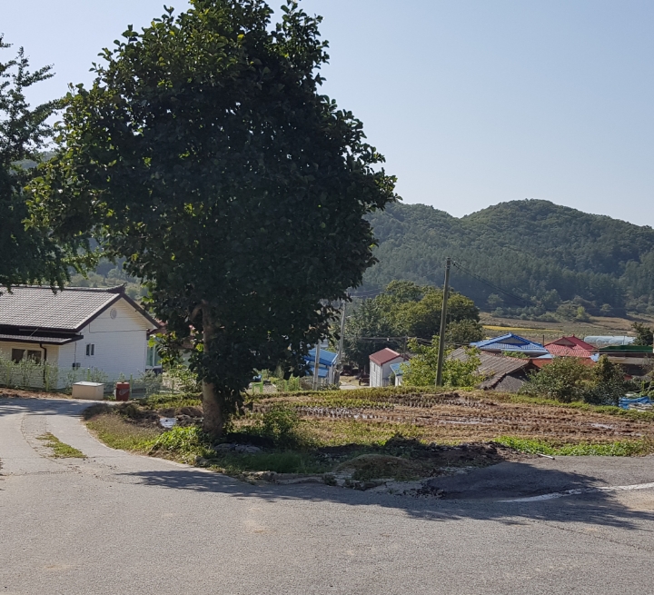 덕정리 이미지
