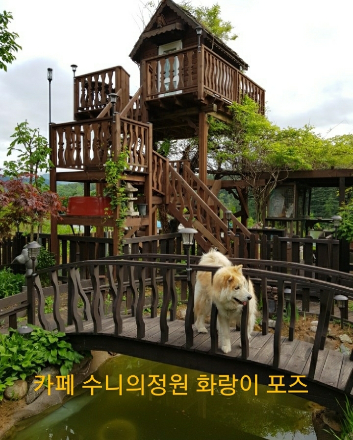수니카페 이미지