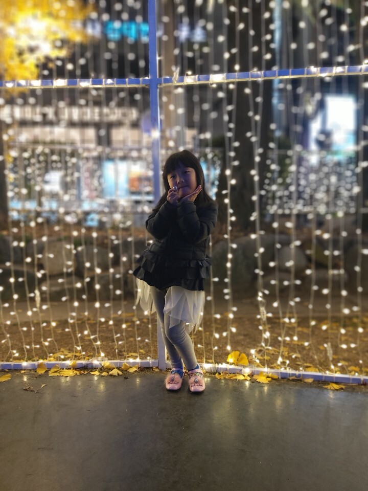 반율 이미지