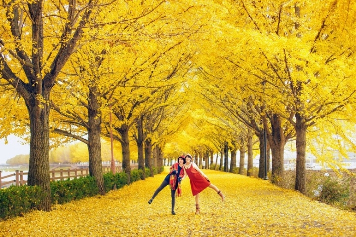 복*서 이미지