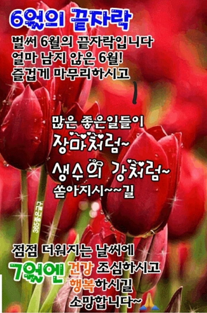 서후 이미지