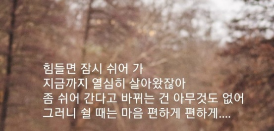 이쁜나무 이미지