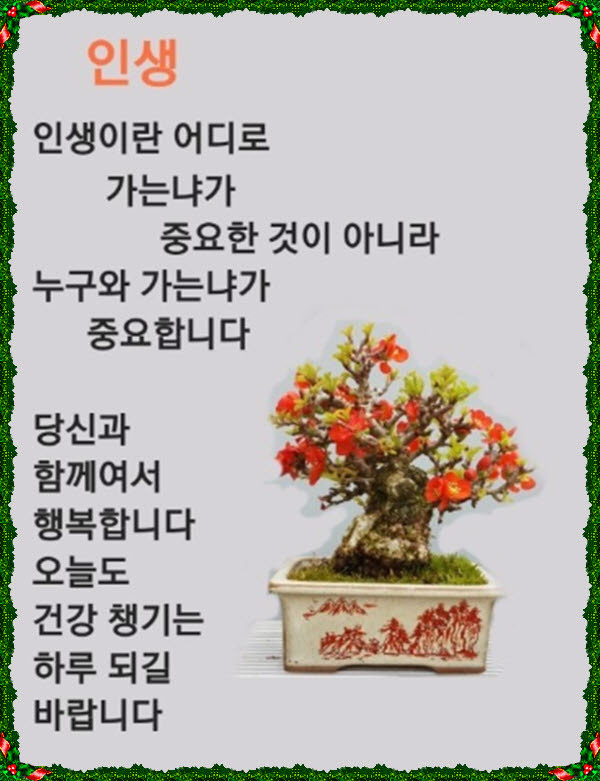 세라비 이미지