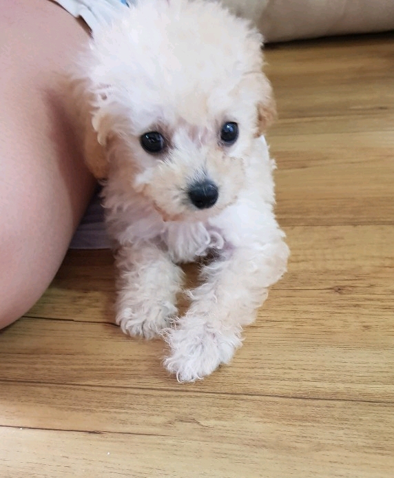 와락 이미지