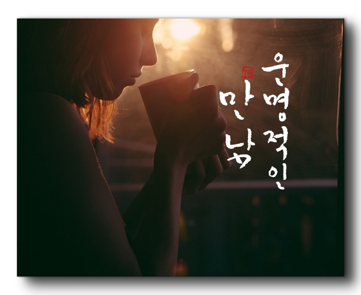 도연식품 이미지