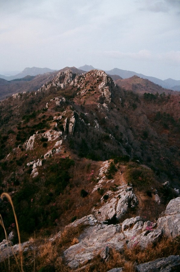 해달뫼 이미지