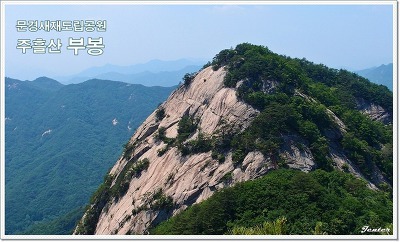 조령휴양림휴게소 이미지