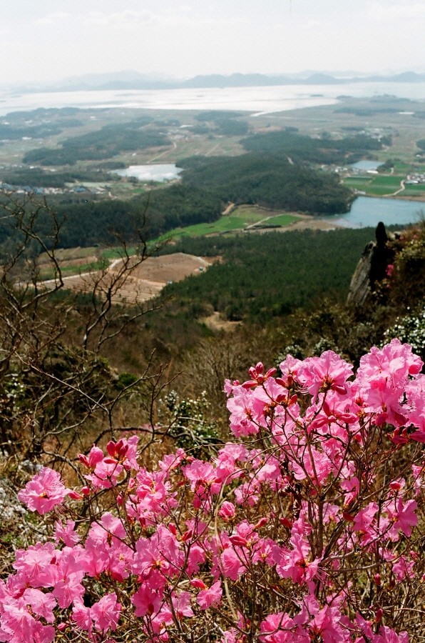 해달뫼 이미지