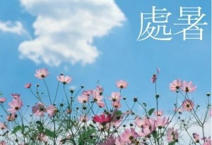 처서 이미지